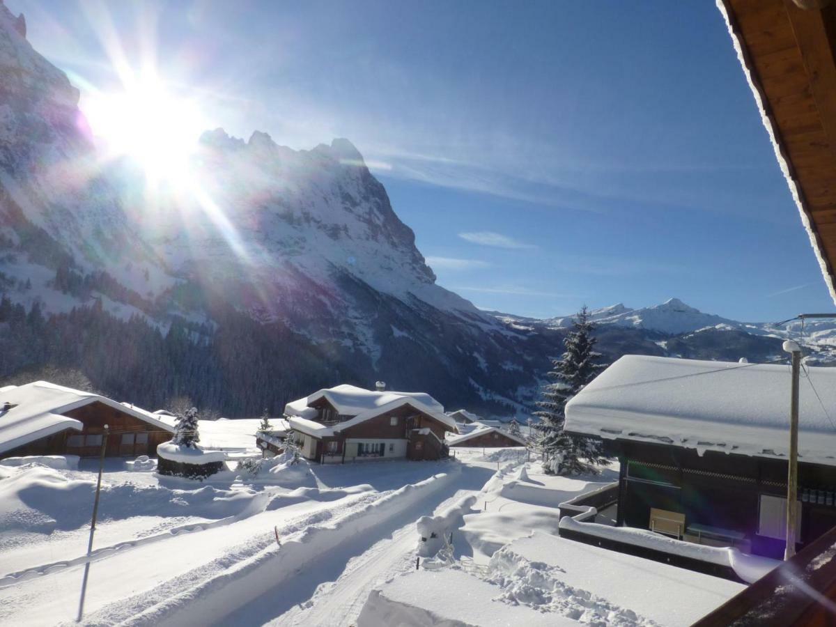 Appartement Verbrunnenhaus Grindelwald